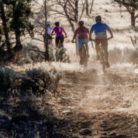 High performance Bicycles at Red Rock Bicycle Company in St George Utah | My Local Utah An image of 4 cyclers riding high-performance bicycles on display at red rock bicycle company in st George utah My local utah